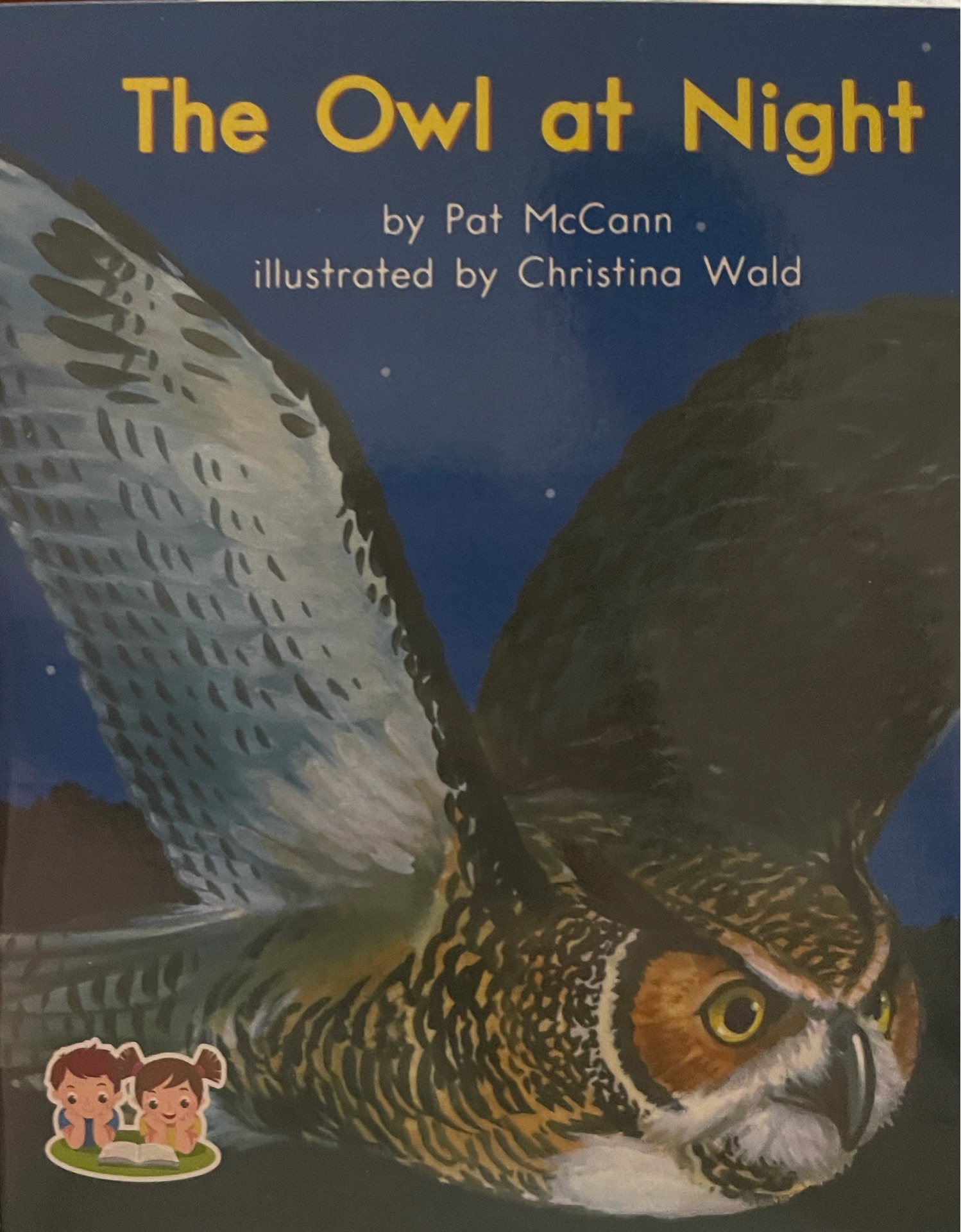 The owl at night