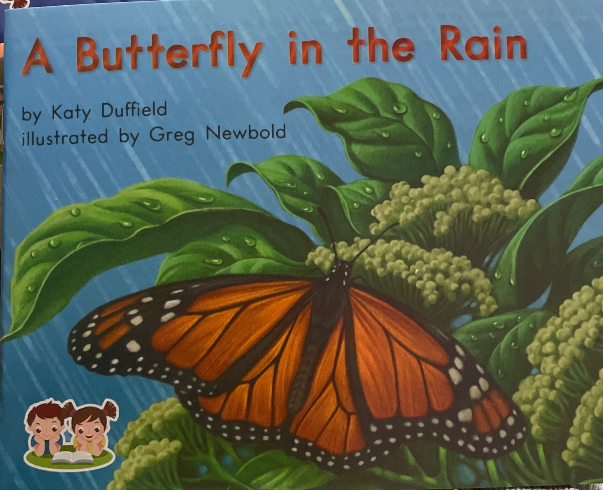 A Butterfly in the Rain