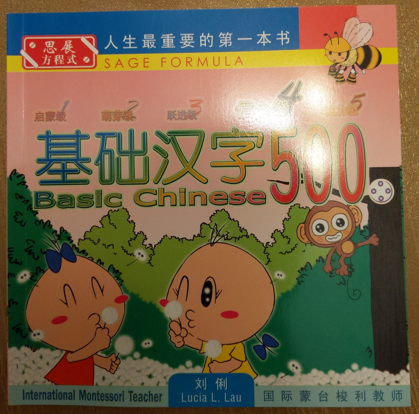 基礎(chǔ)漢字500信心級第4冊