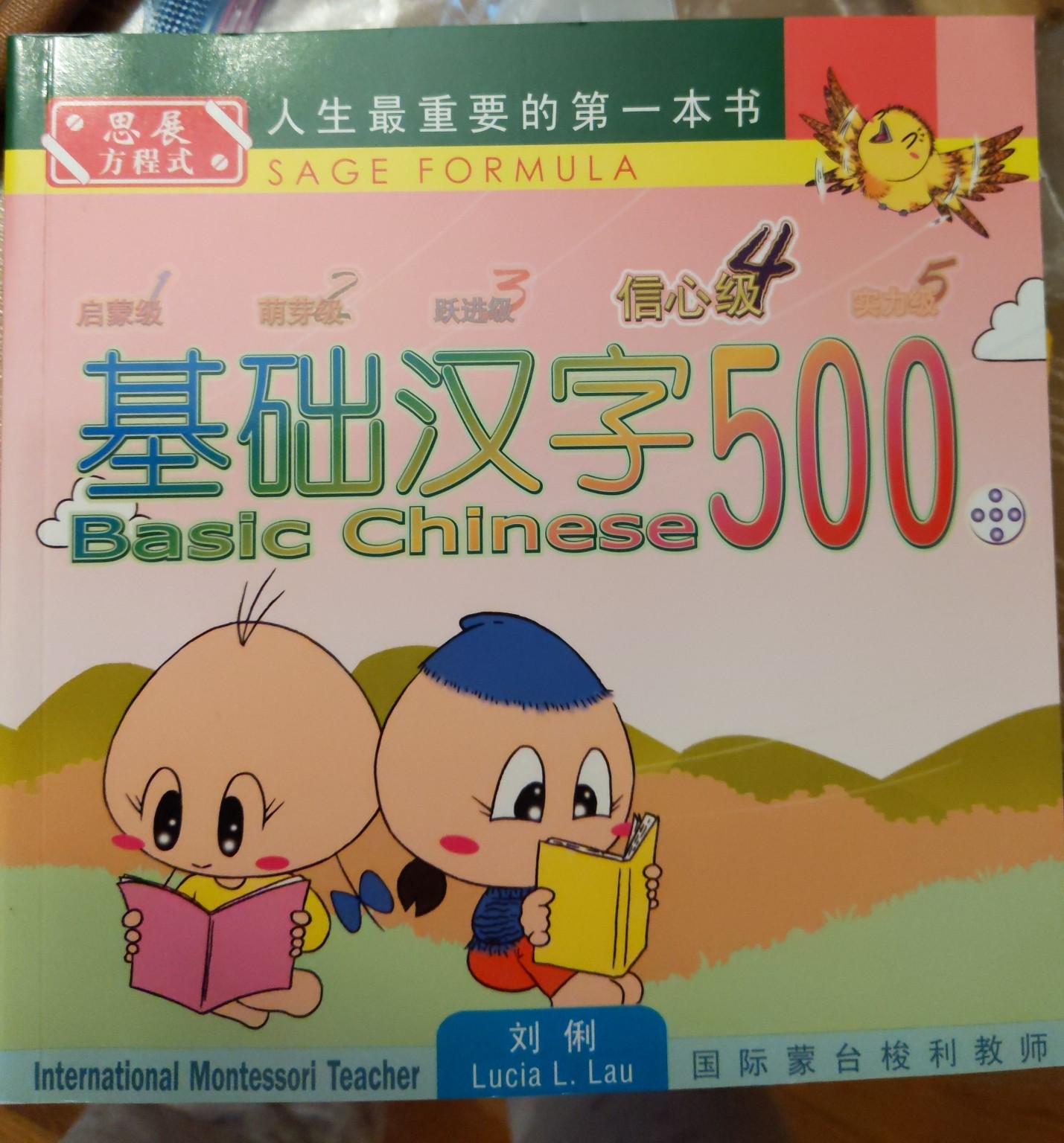 基礎(chǔ)漢字500信心級第5冊