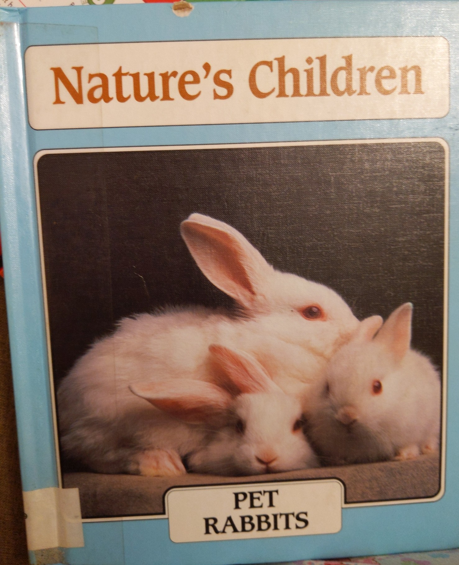 pet rabbits (nature's children)