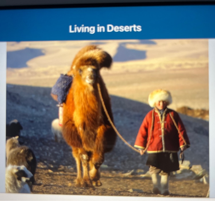 Living in deserts (Raz P)