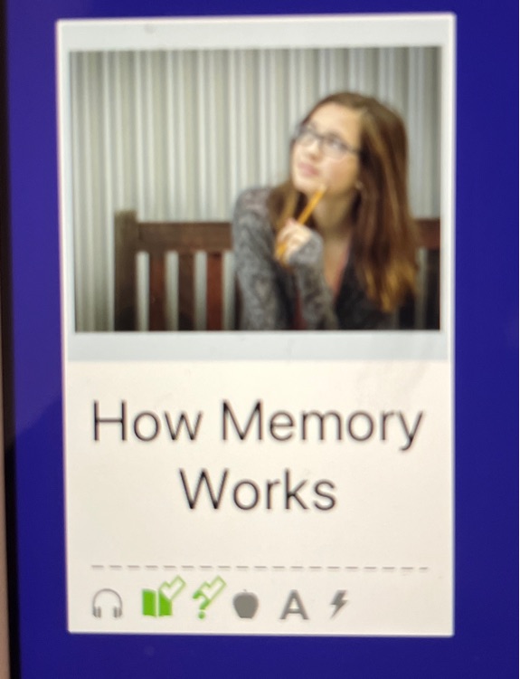 How memory works