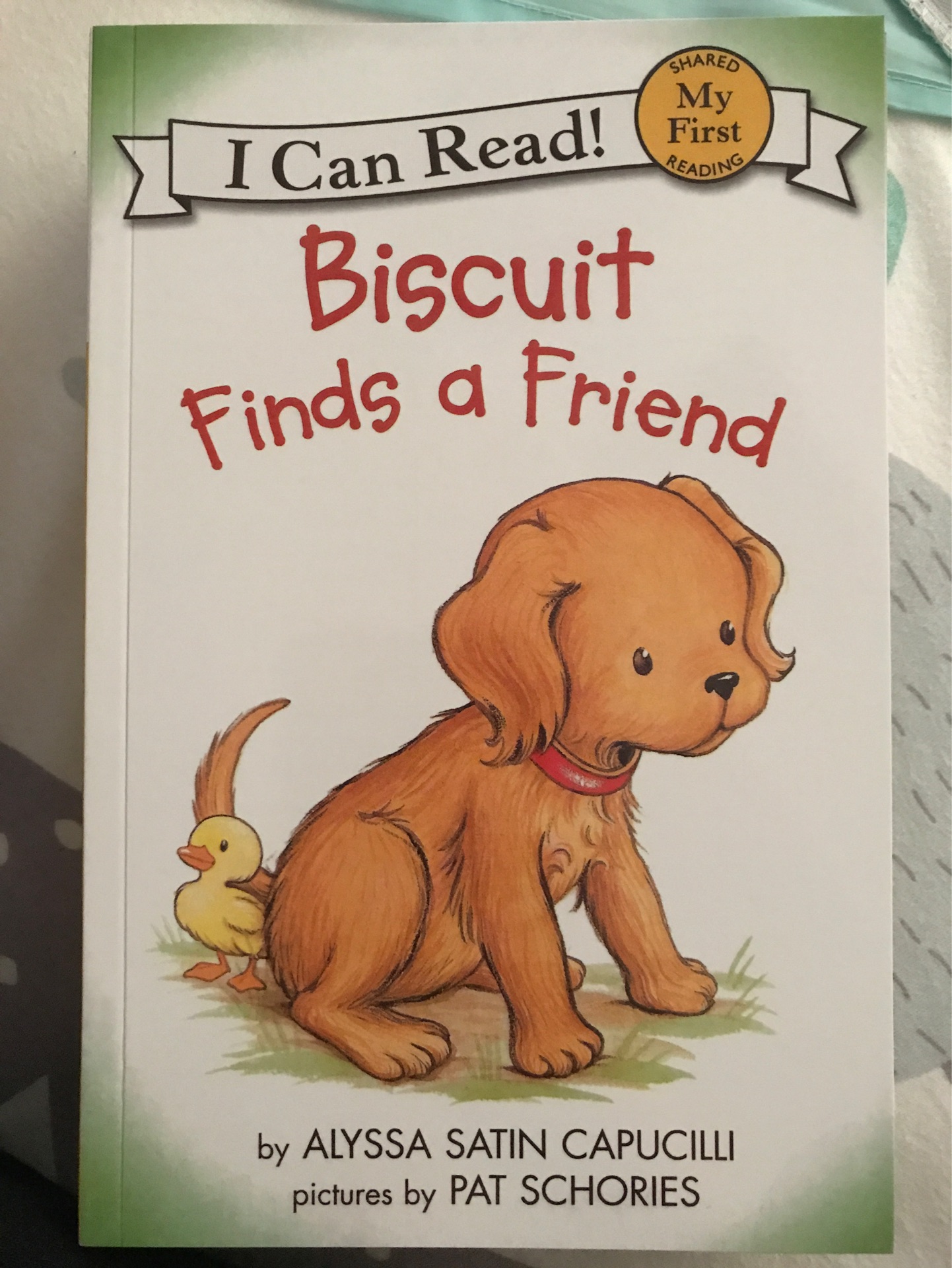 Biscuit Finds a Friend