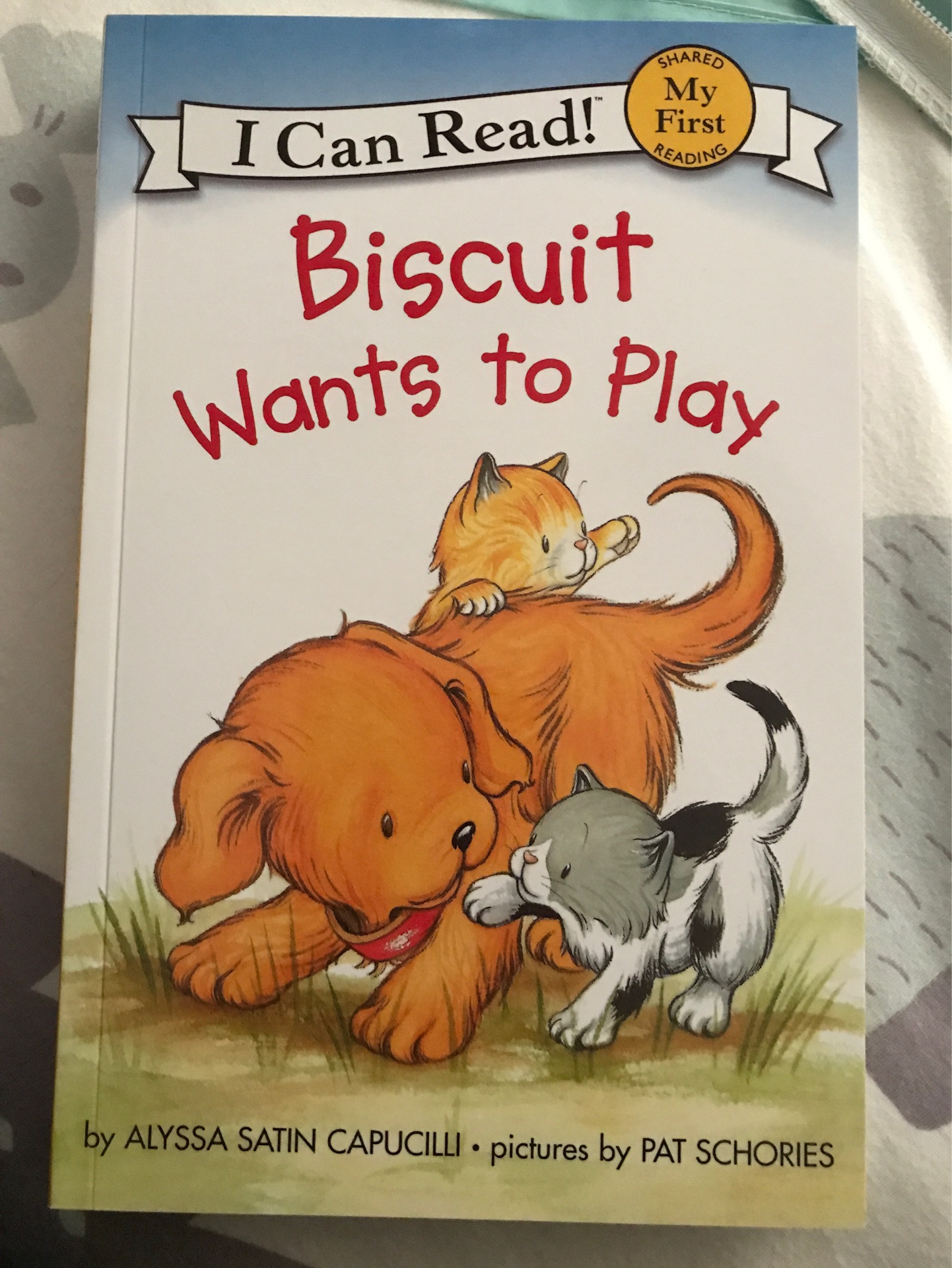 Biscuit Wants to Play