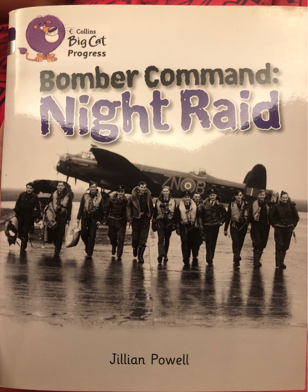 bomber command: night raid