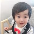 慕子木兮、