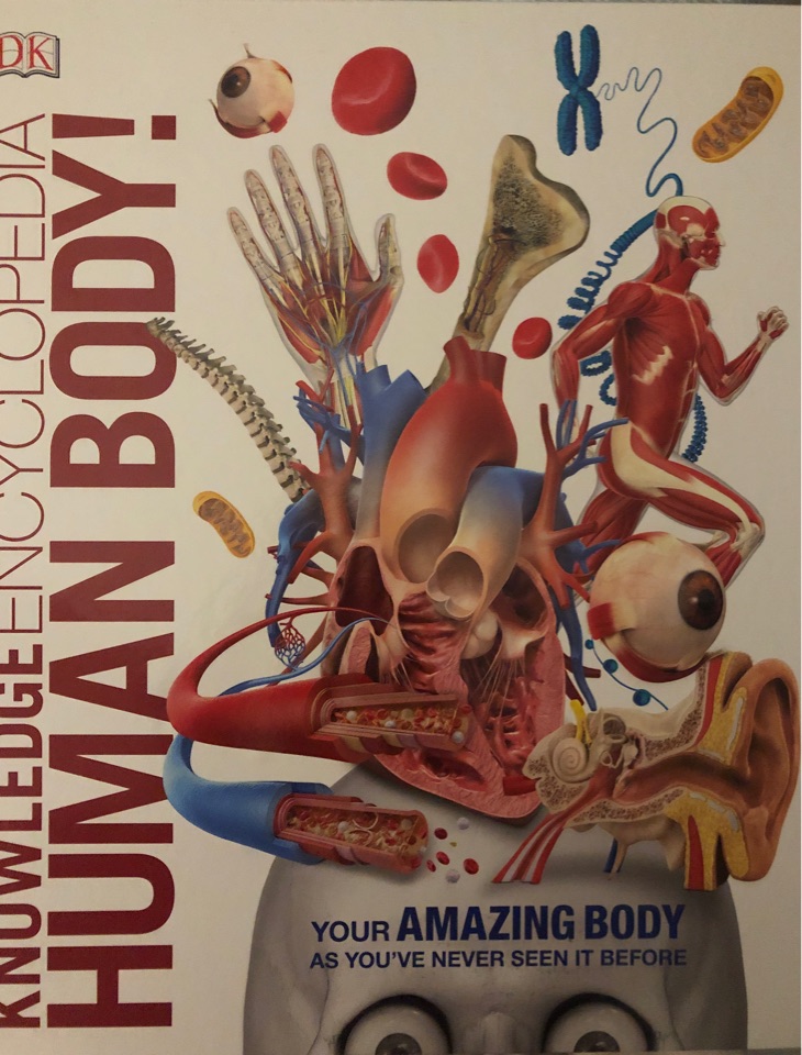 Knowledge Encyclopaedia Human Body!