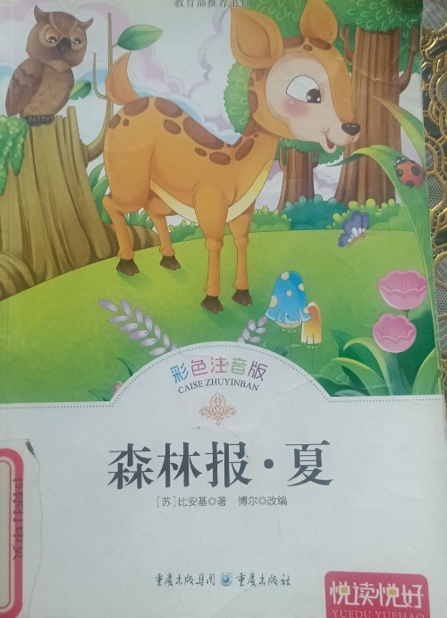 森林報(bào)夏悅讀悅好