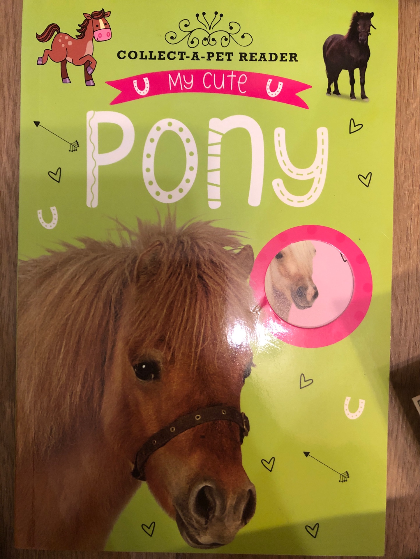 pony