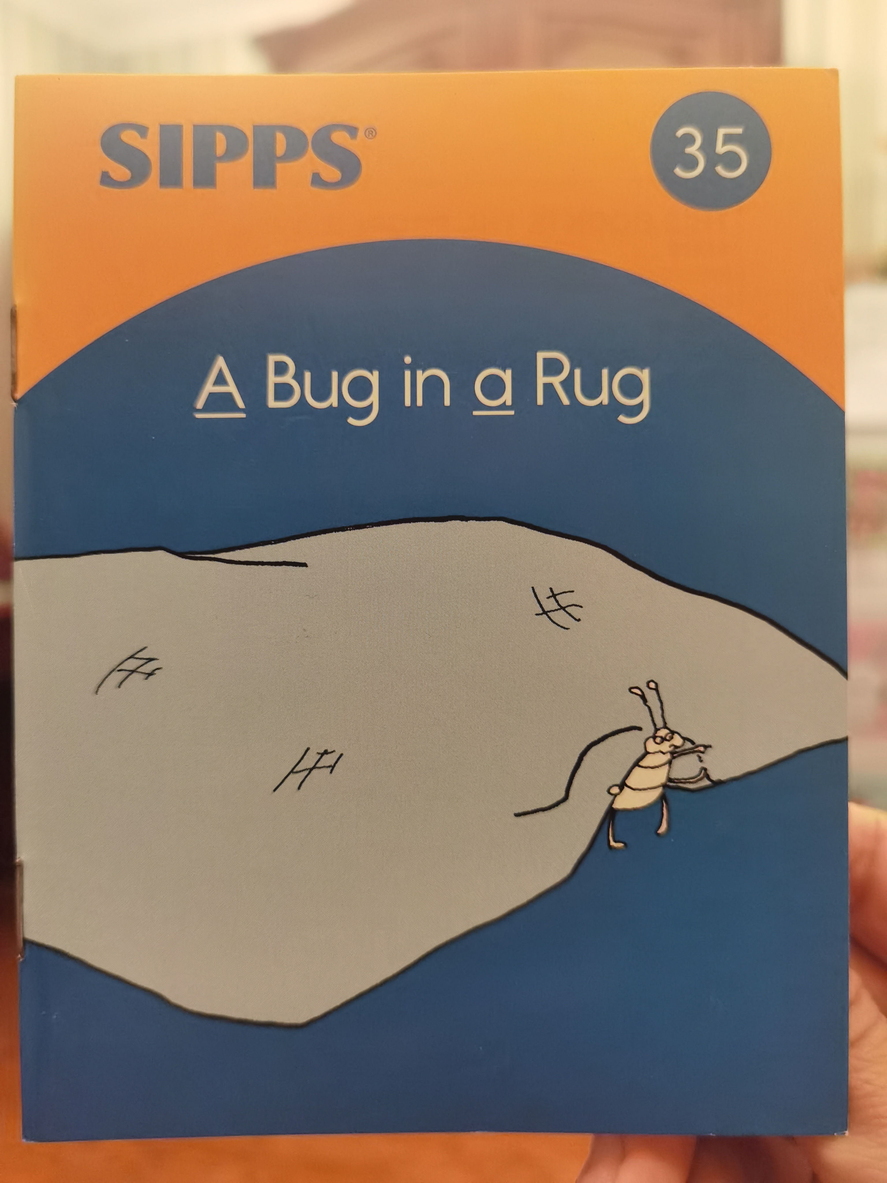 A bug in a rug