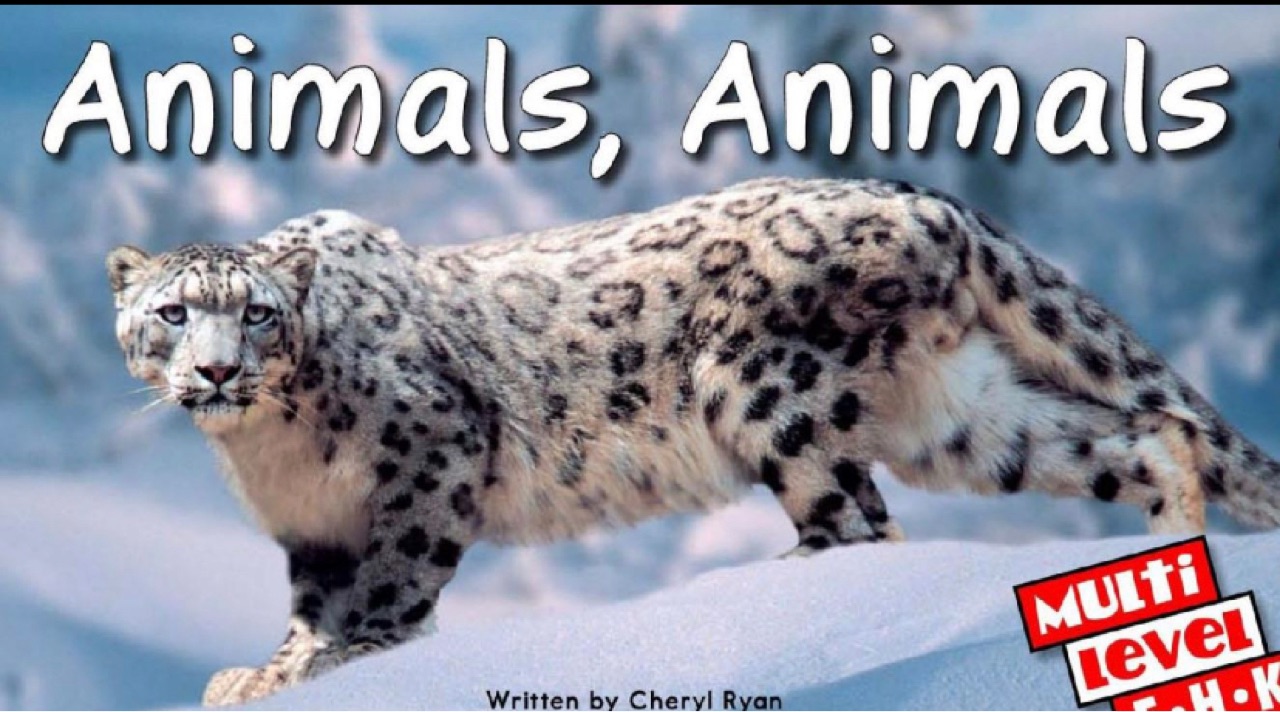 RAZ H: Animal, Animal