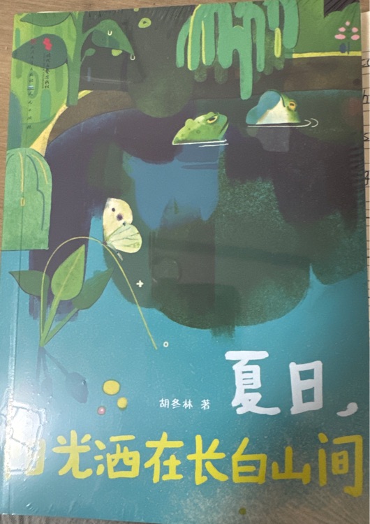 夏日, 陽光灑在長白山間