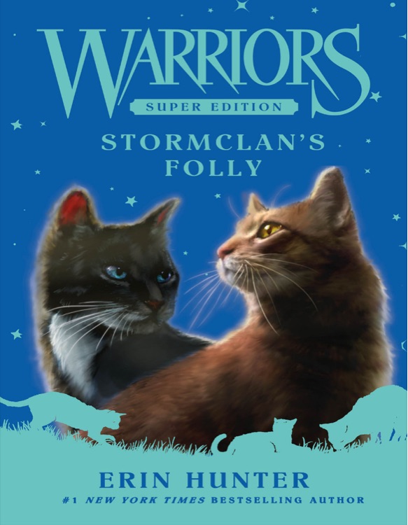 Stormclan' s Folly