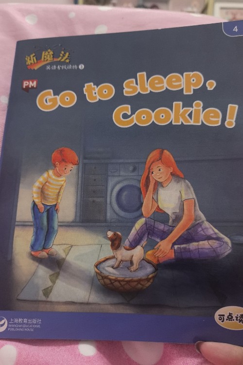 Go to sleep cookie