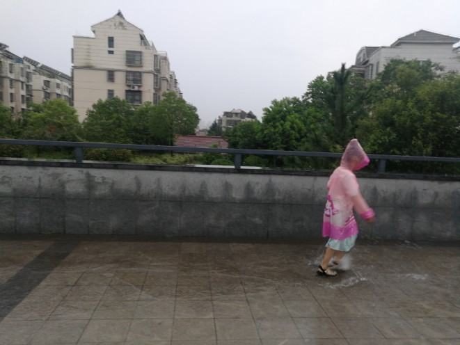 愛玩的天性