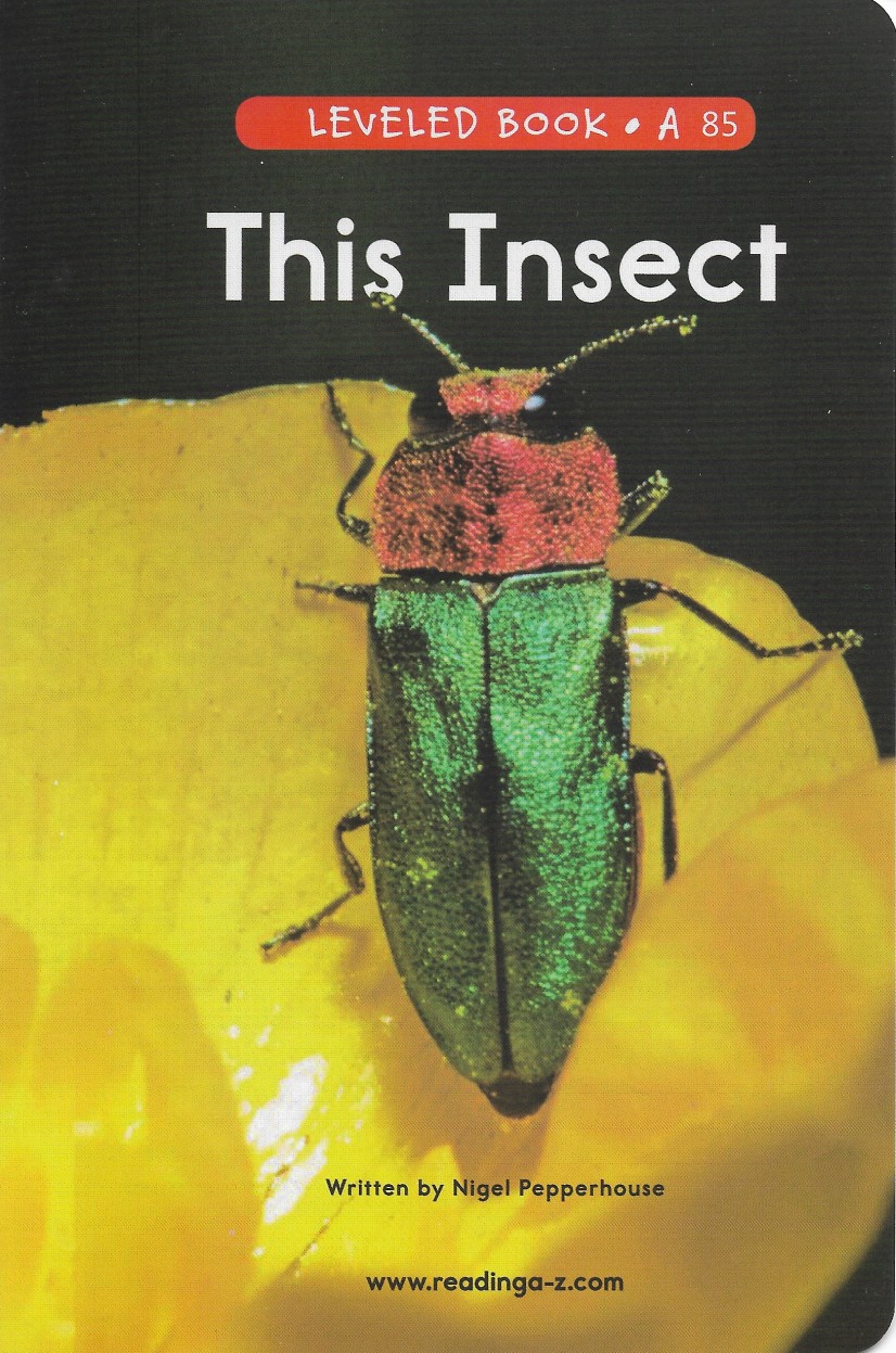 26.This Insect (RAZ A)