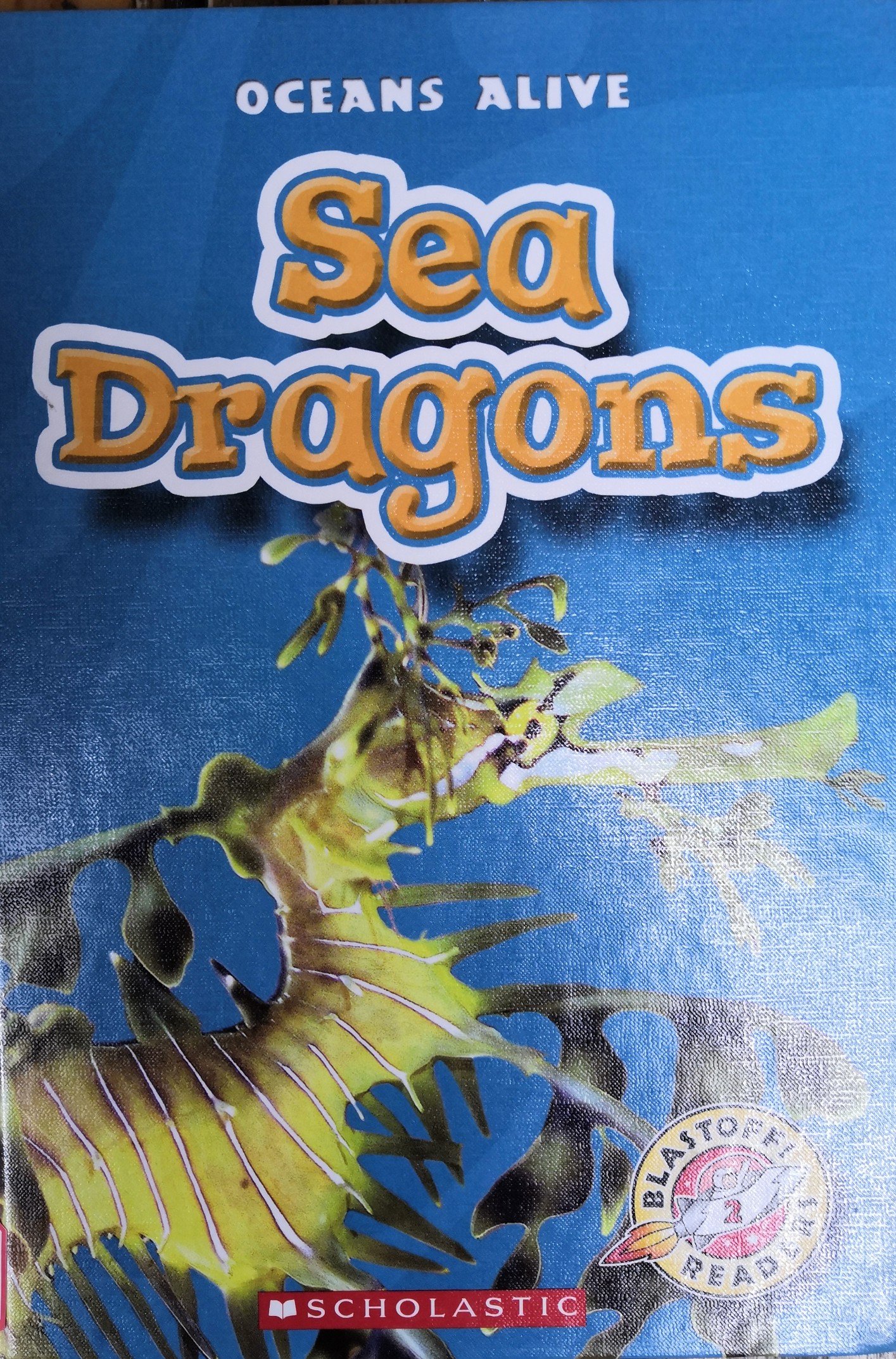 Sea dragons