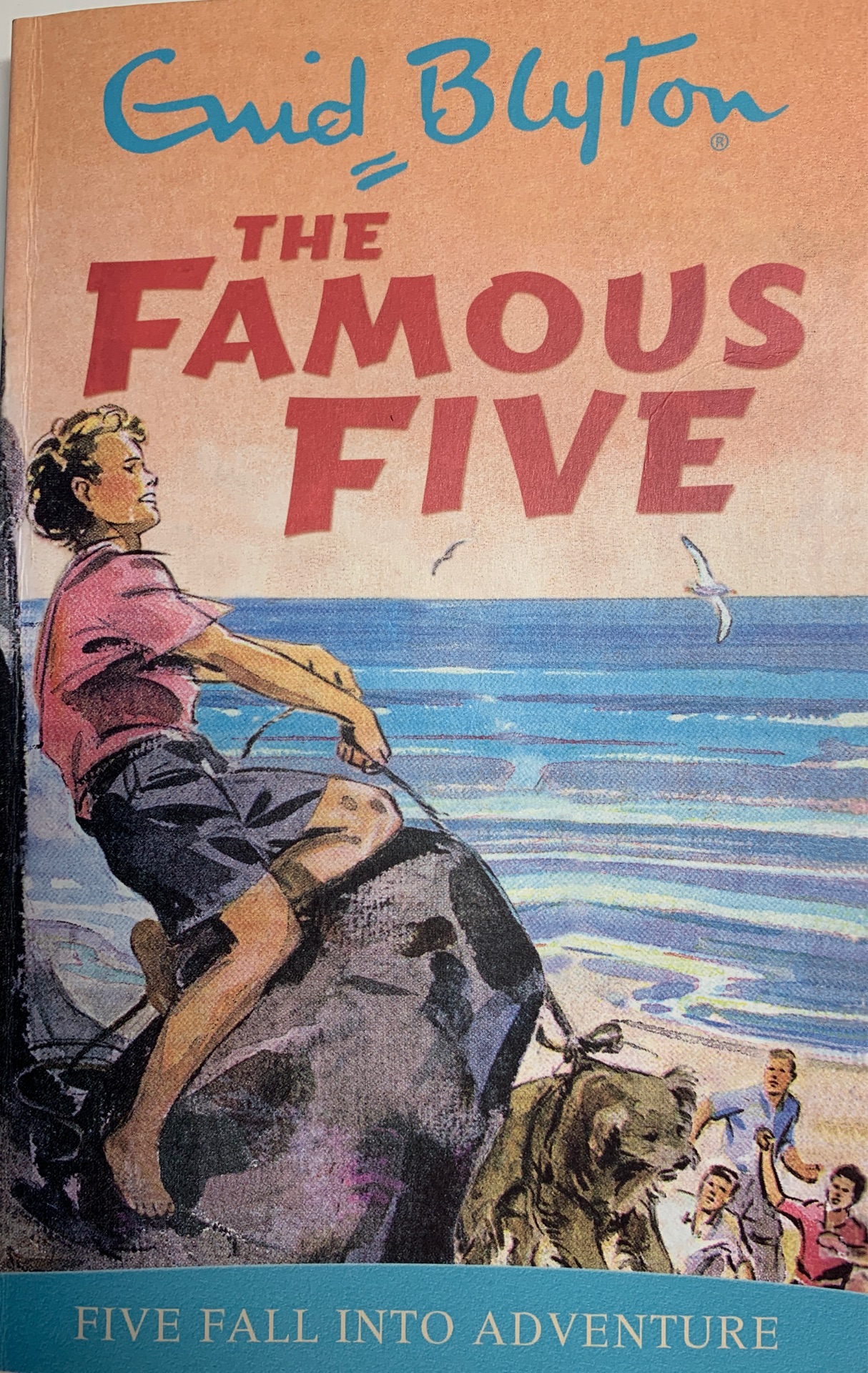 The famous five- five fall into adventure