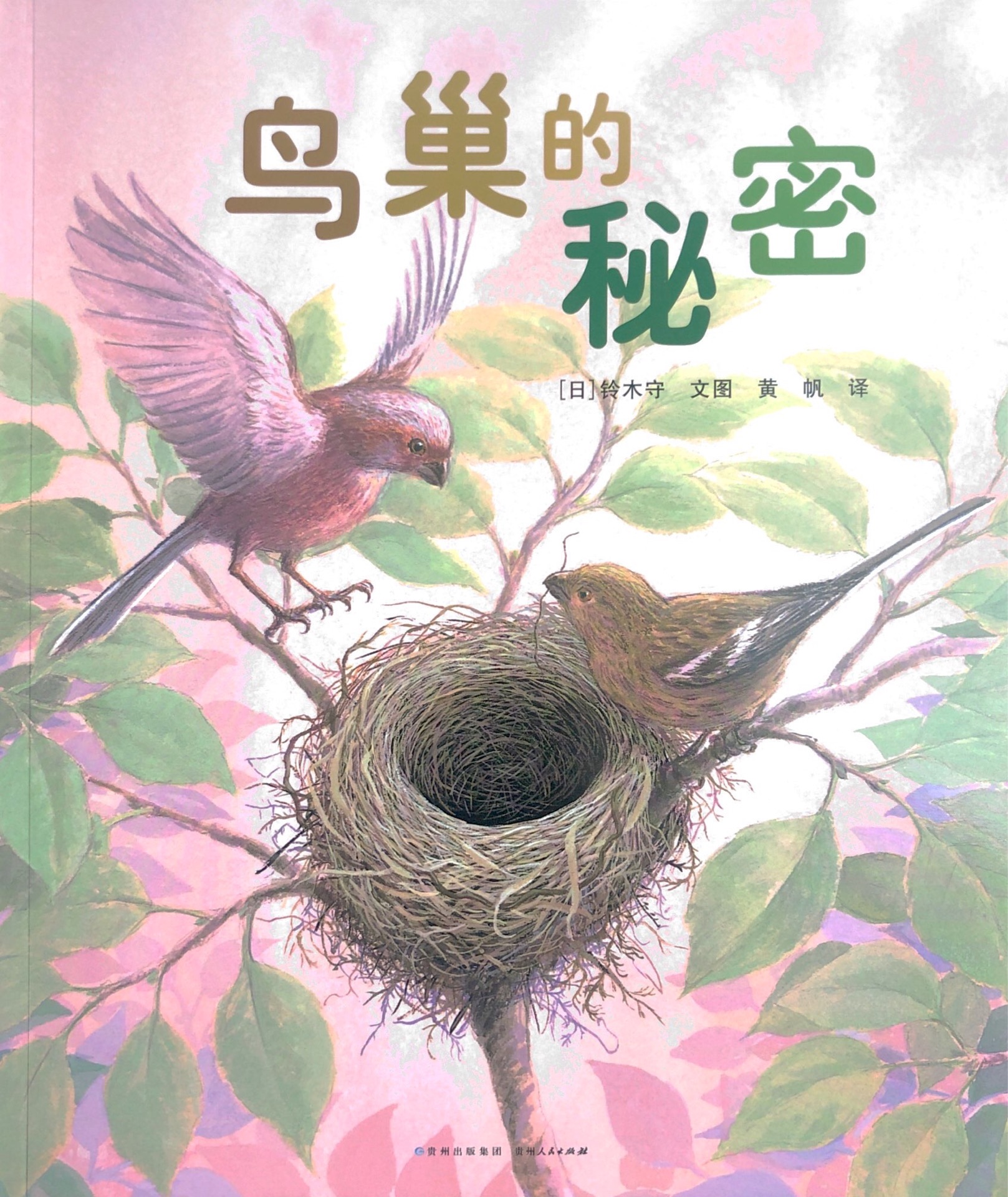 鳥(niǎo)巢的秘密