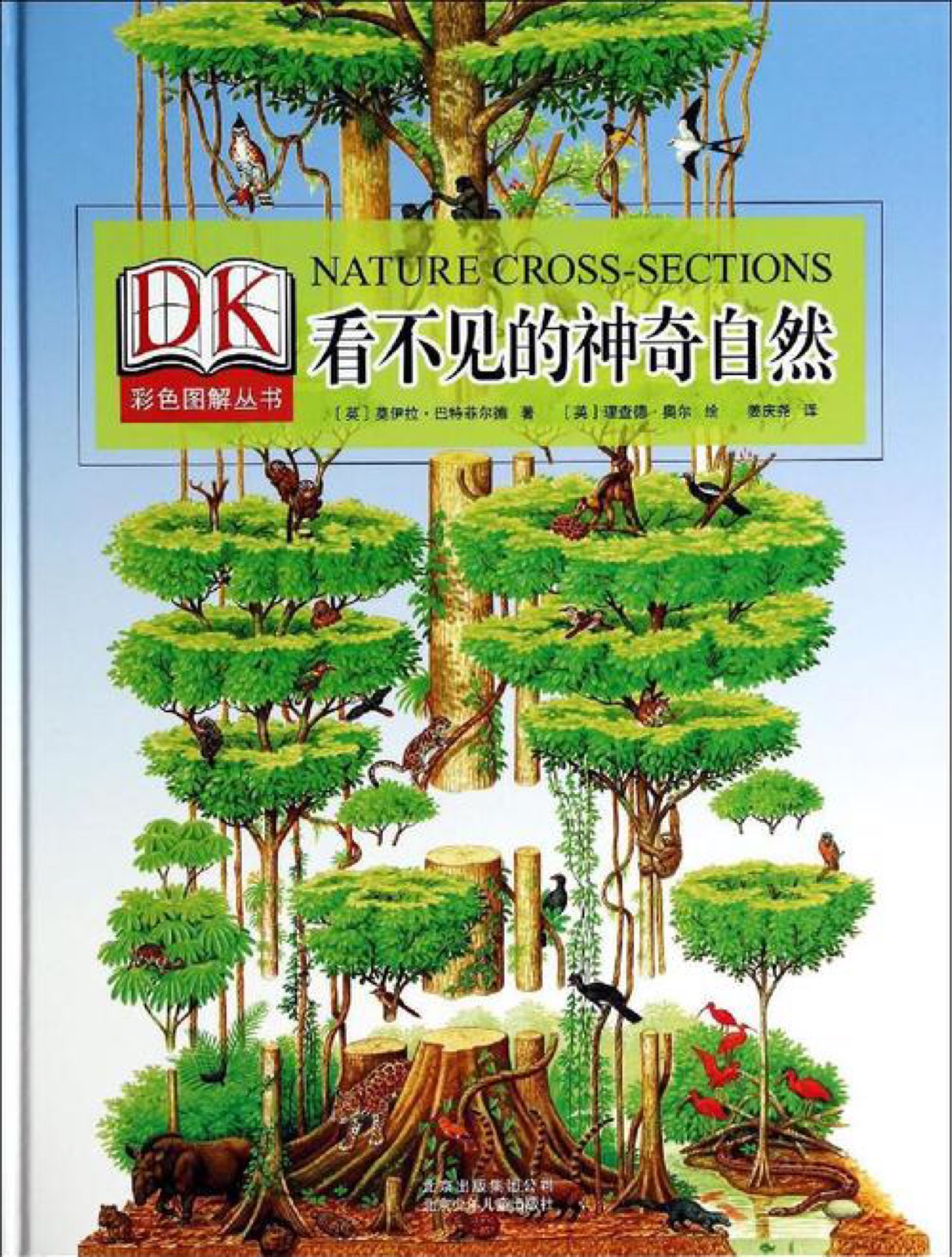 DK彩色圖解叢書(shū): 看不見(jiàn)的神奇自然