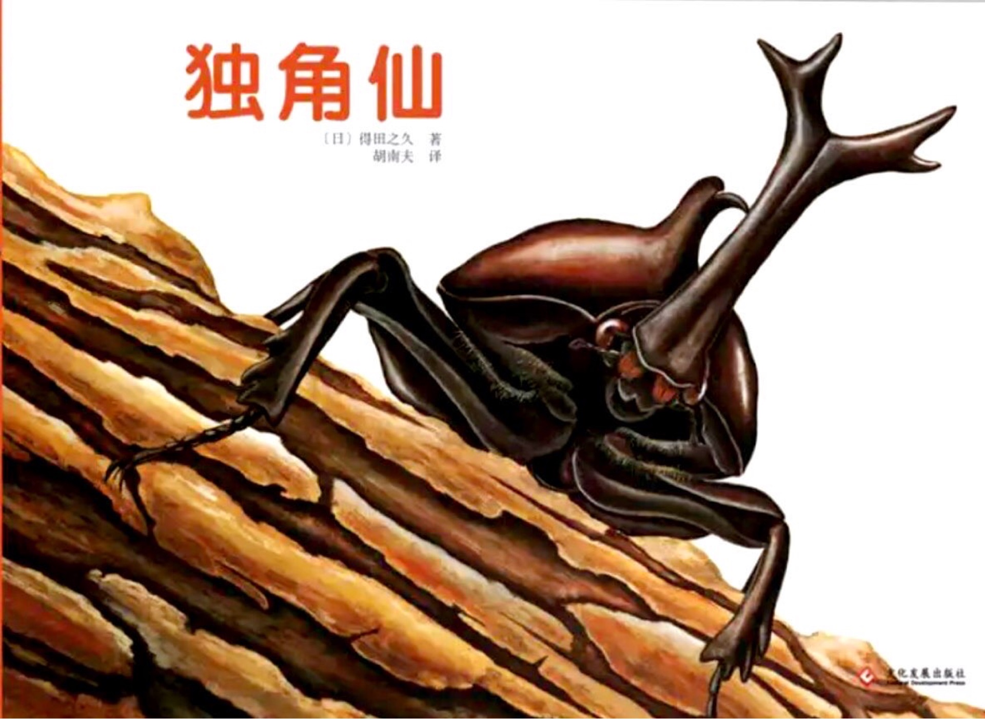 昆蟲的一生     獨(dú)角仙