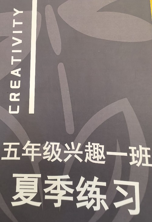 數(shù)學(xué) 四升五暑期