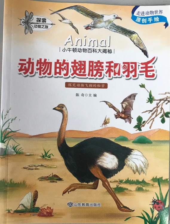 小牛頓動物百科大揭秘: 動物的翅膀和羽毛