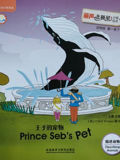 Prince Seb's Pet