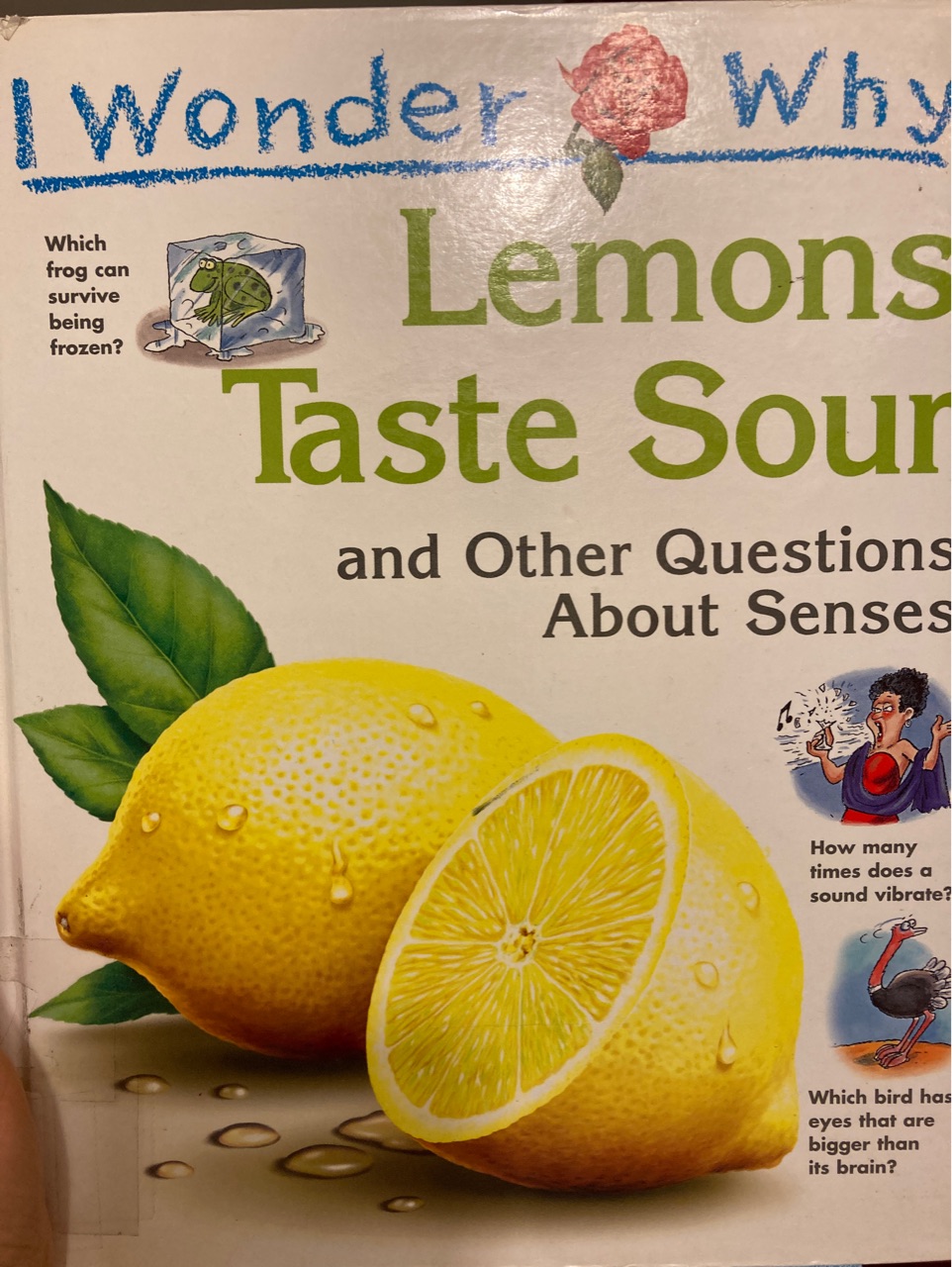 I wonder why lemons taste sour and other questions about senses