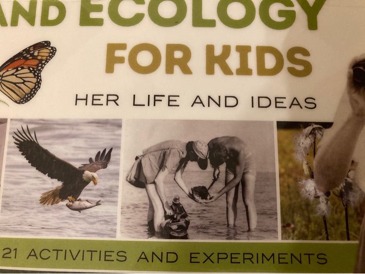 Rachel Carson and ecology for kids