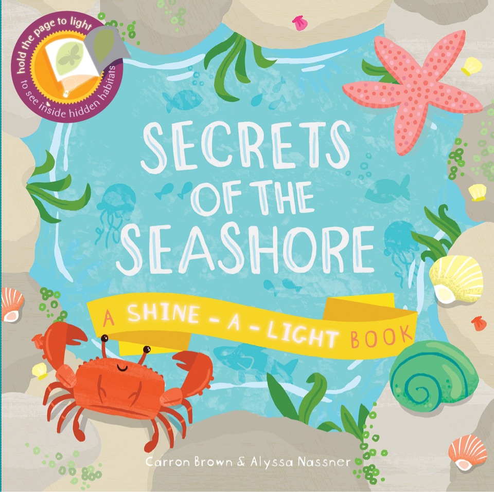 Secrets of the Seashore: A Shine-A-Light Book