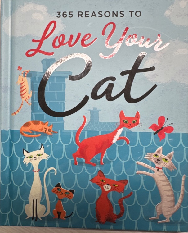 365 reasons to love your cat