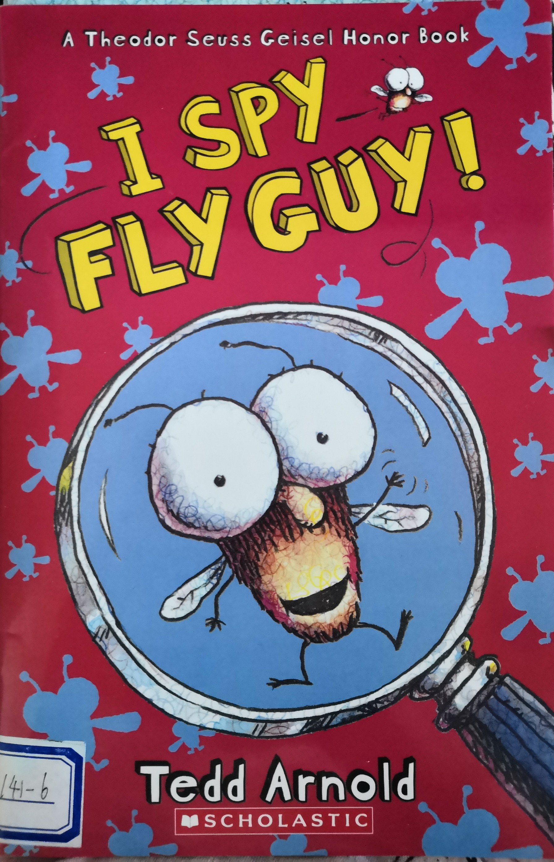 I spy fly guy