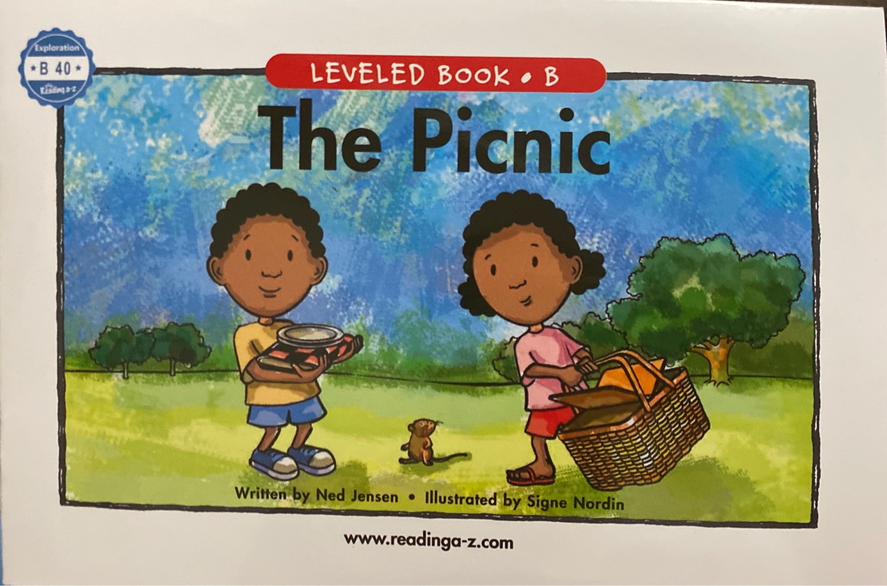 RAZ B40: The Picnic