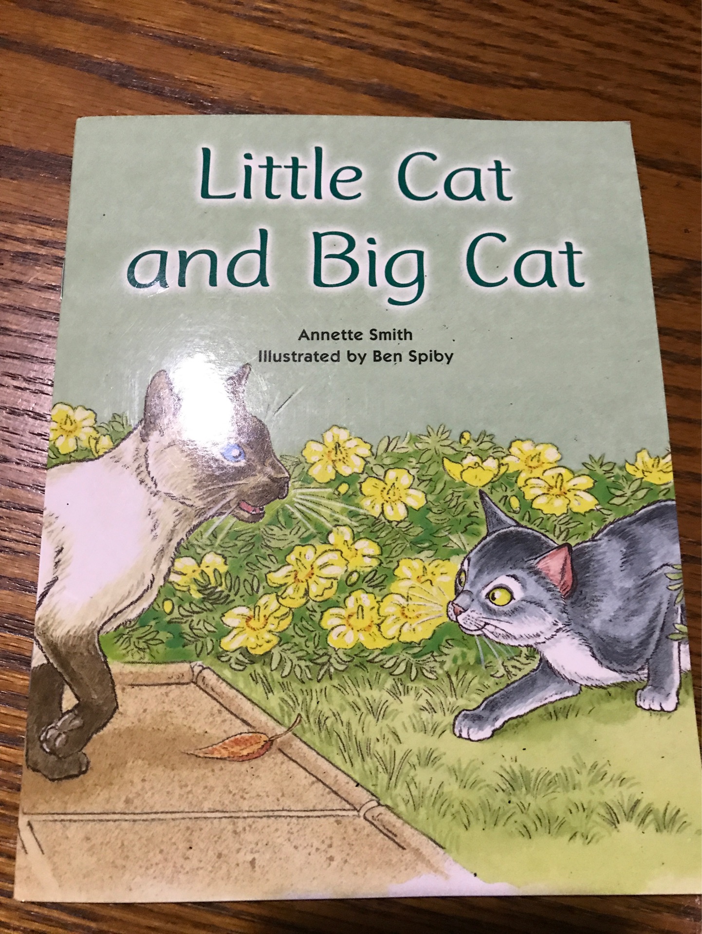 Little cat and big cat(HMH into reading Level C)