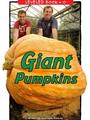 Giant Pumpkins(RAZ O)