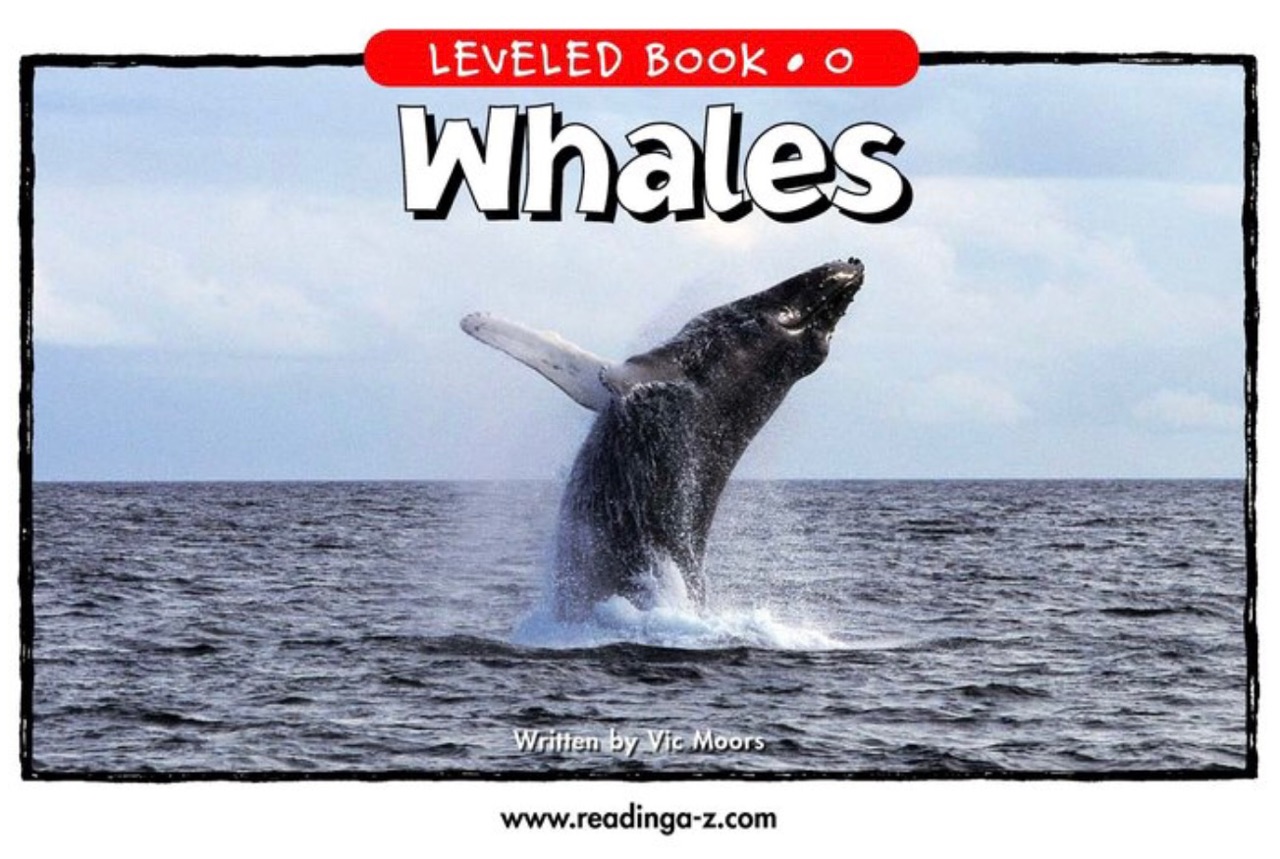 Whales (RAZ O)