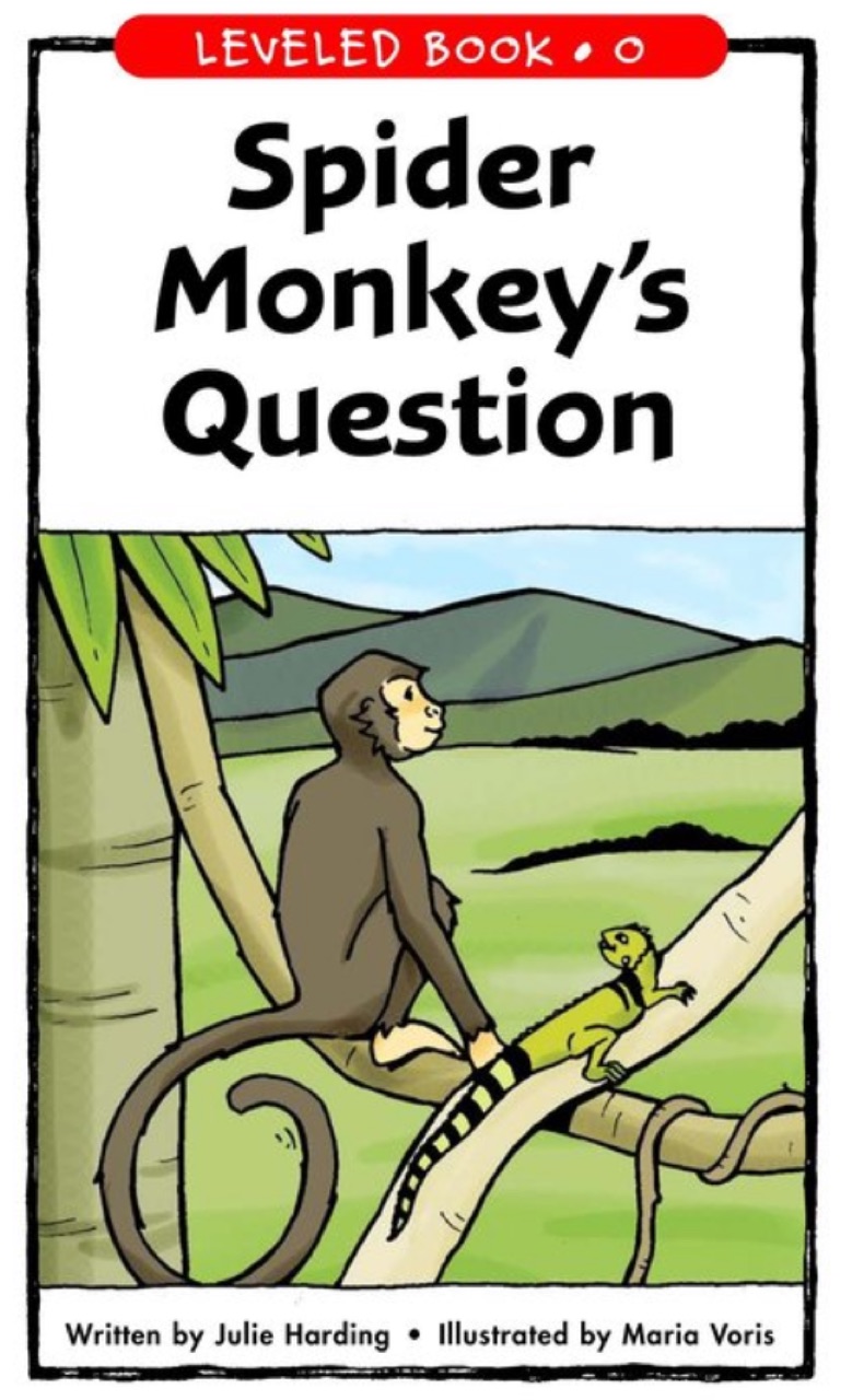 Spider Monkey's Question (RAZ O)