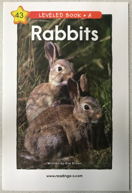 RAZ A-43:Rabbits