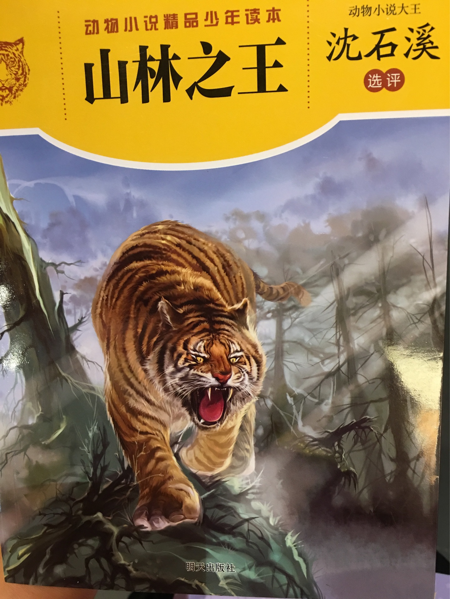 山林之王