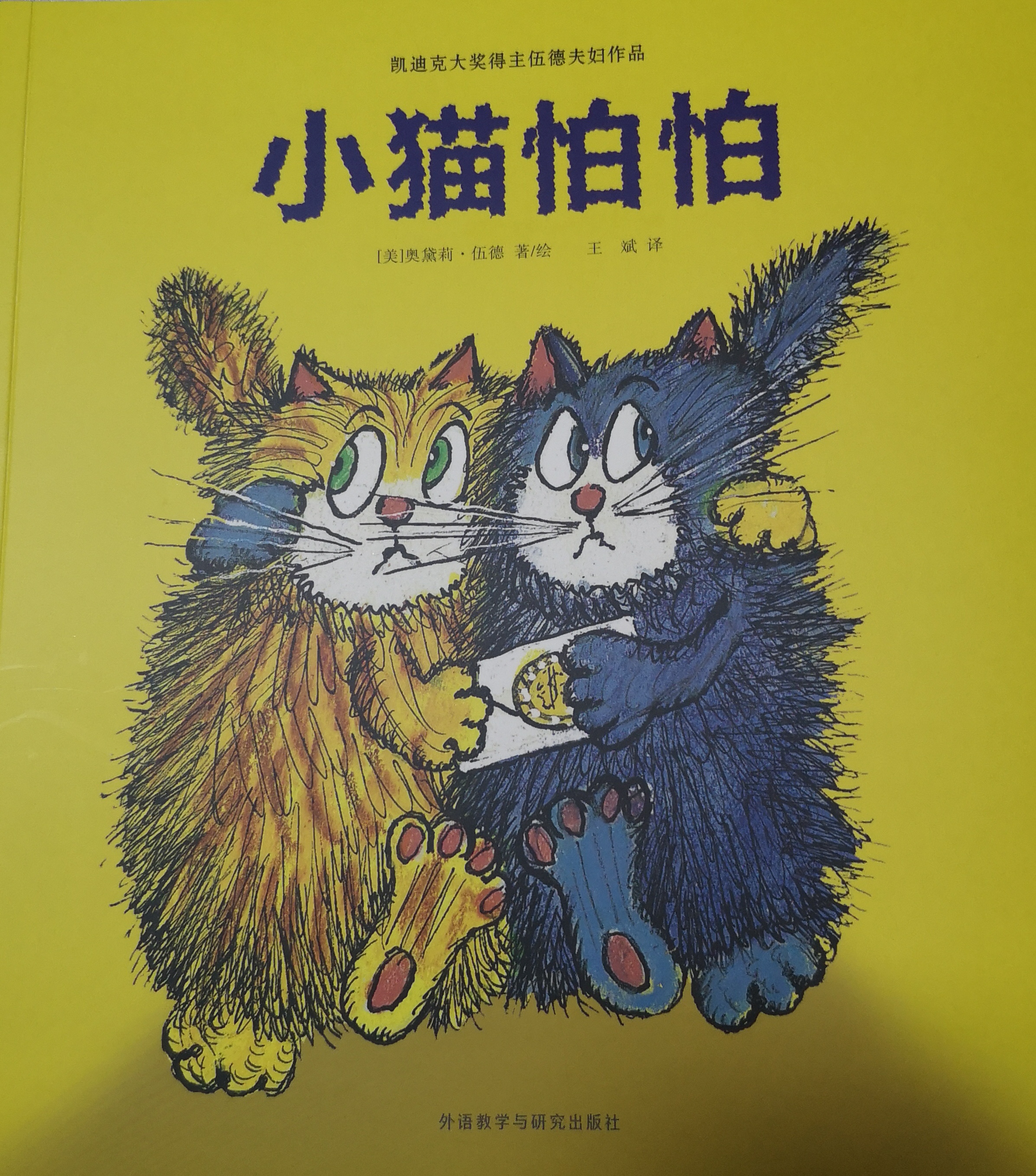 小猫怕怕 小花生