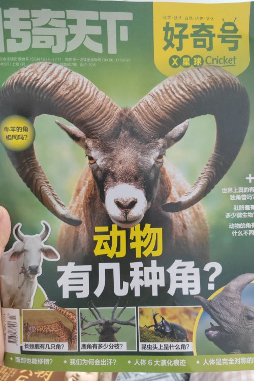 好奇號