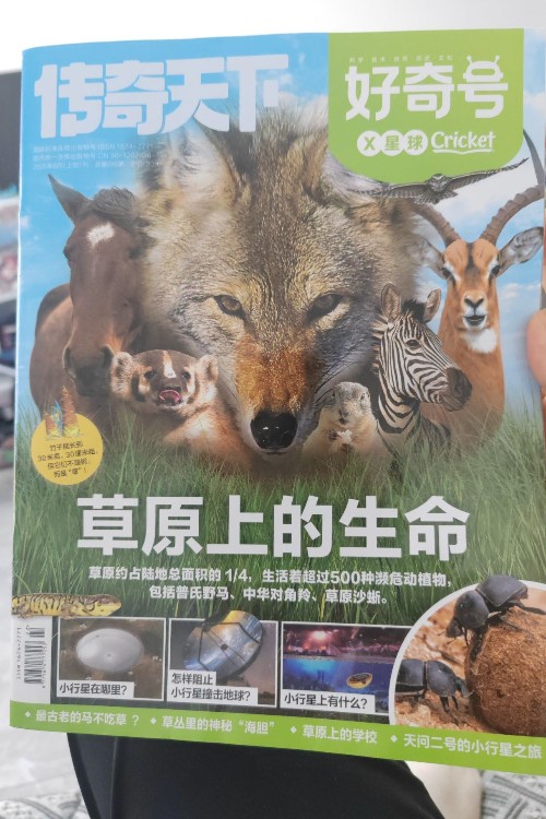 好奇號