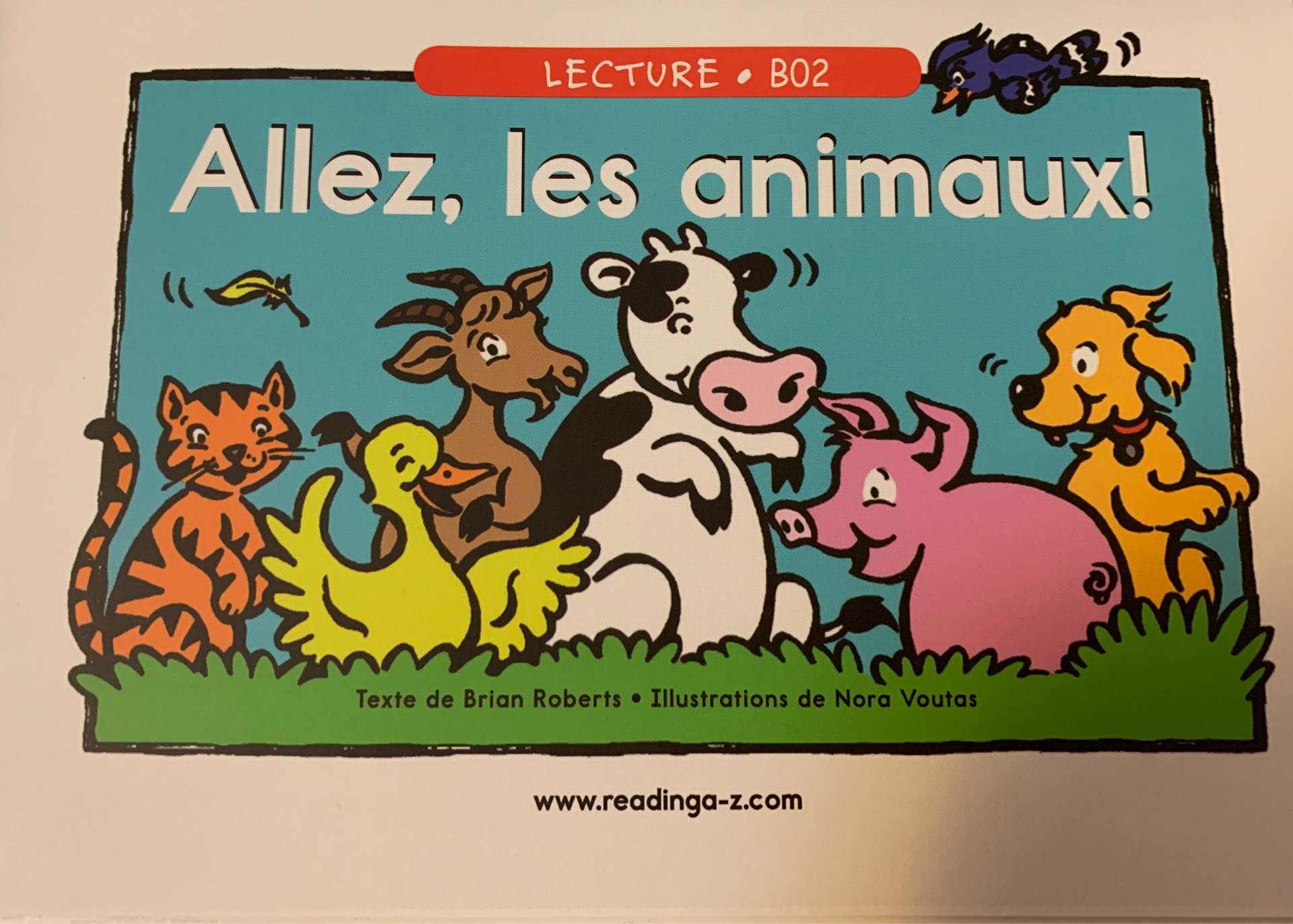 B02- Allez, les animaux!