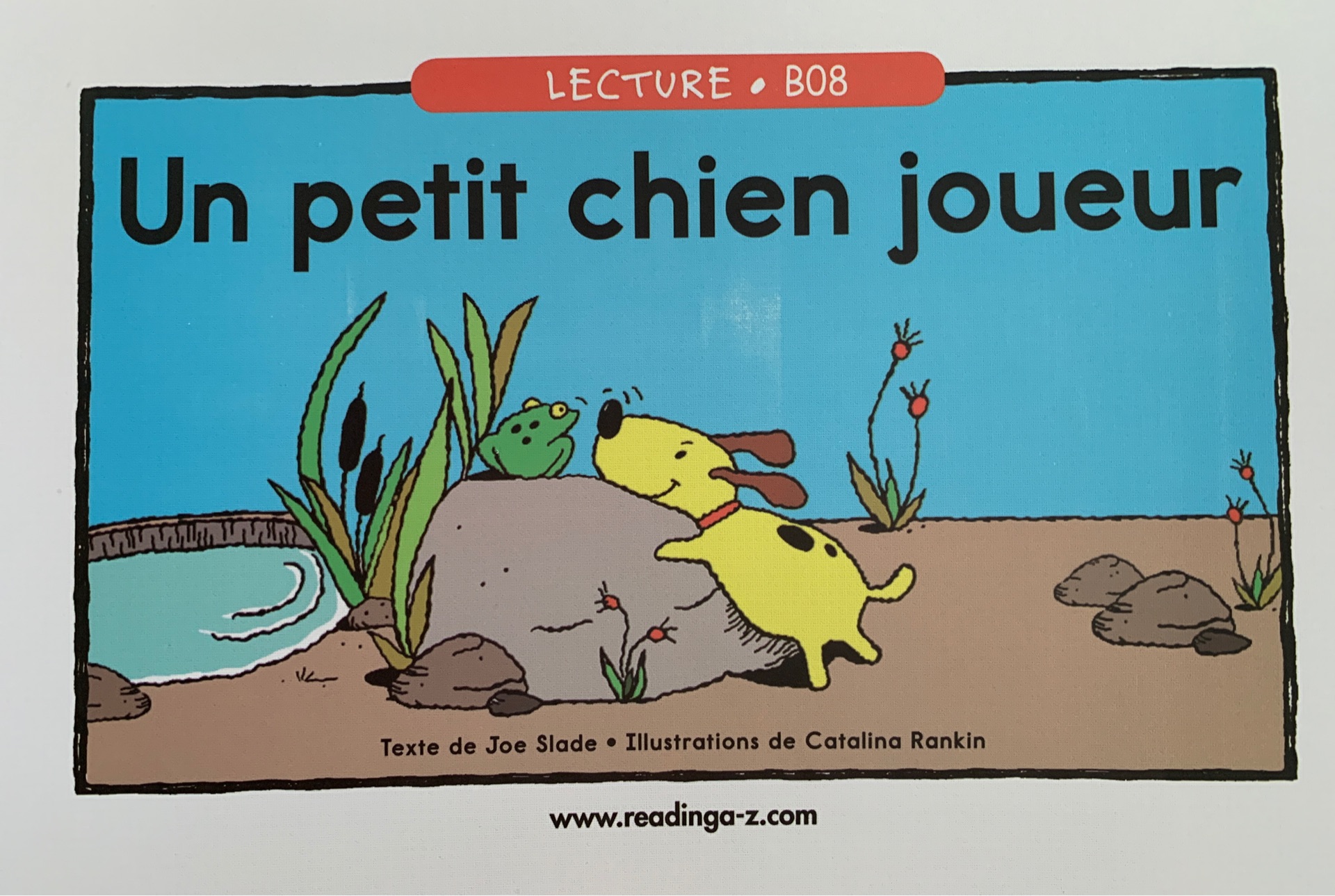 B08- Un petit chien joueur