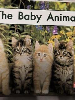 Heinemann Gk-04: The Baby Animals