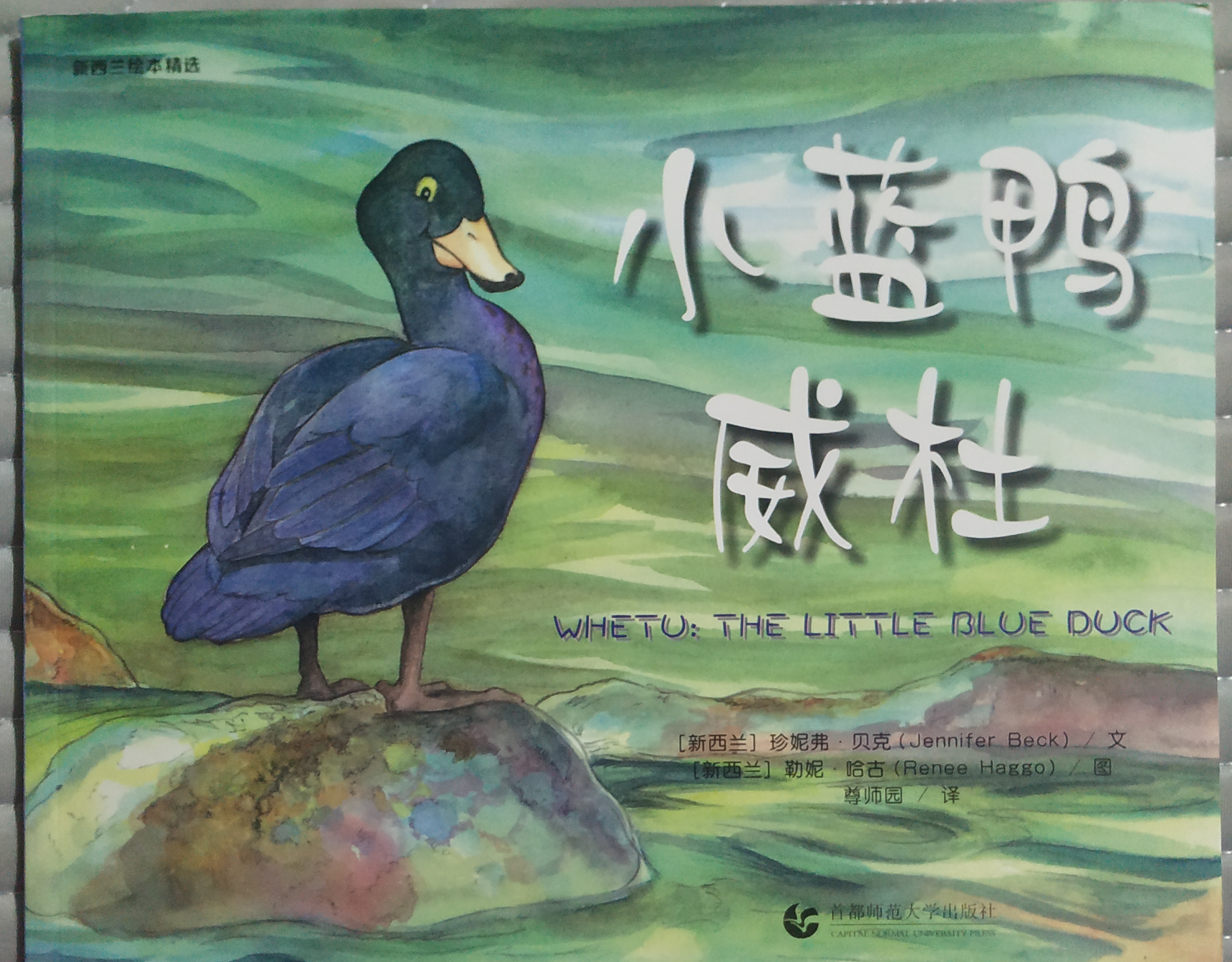小藍(lán)鴨威杜
