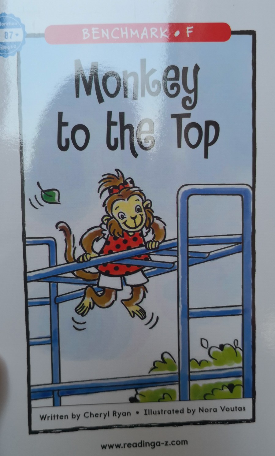 Monkey to the Top