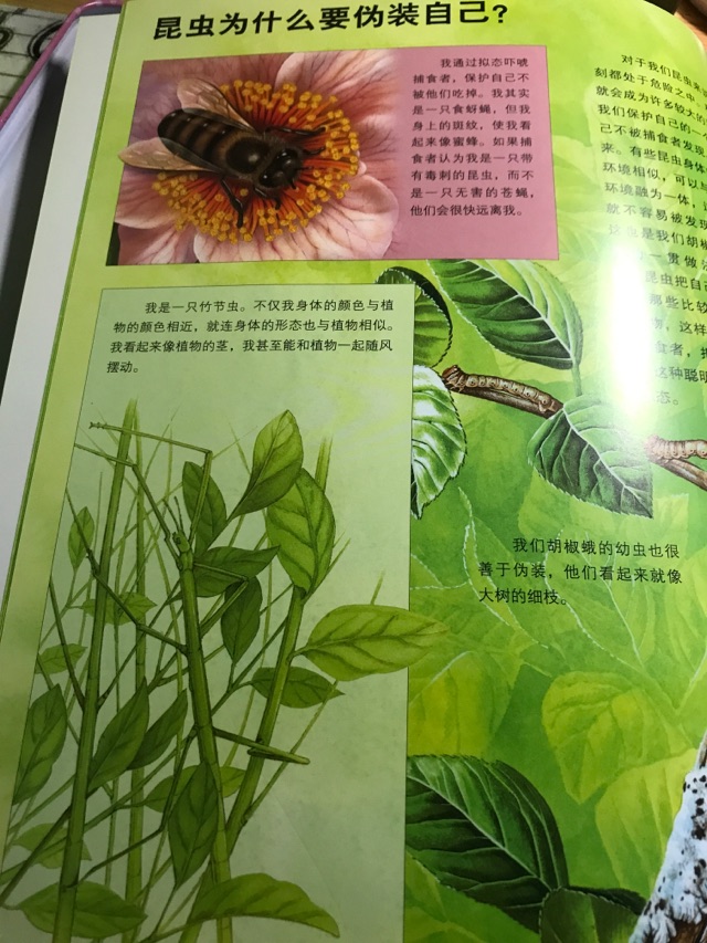 2019.9.16快樂(lè)閱